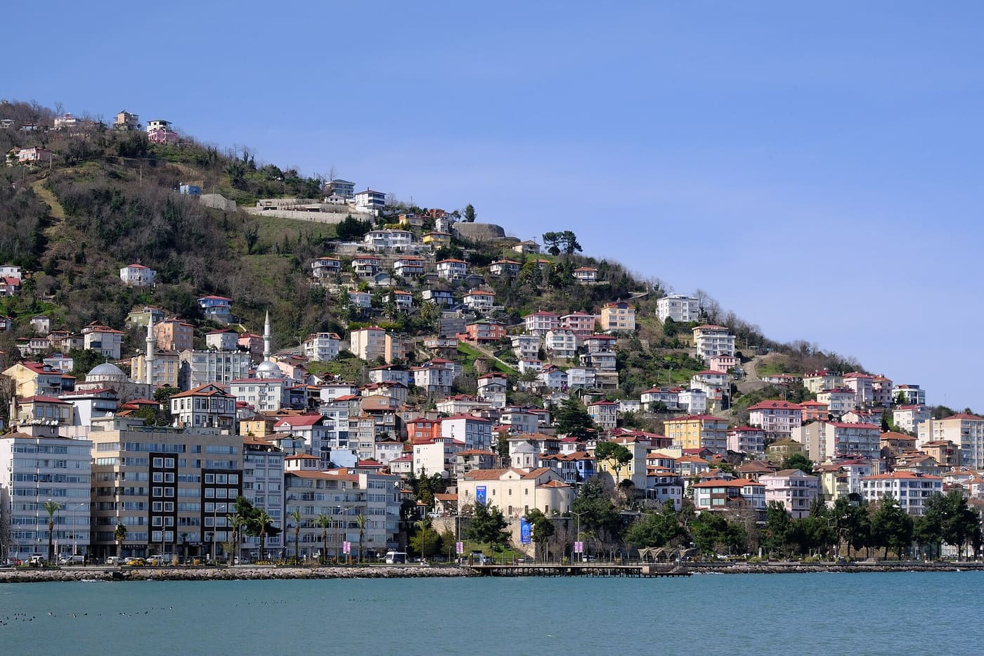 Ordu şehri